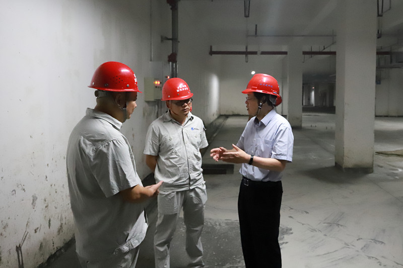 1596184853256743.jpg 3.jpg