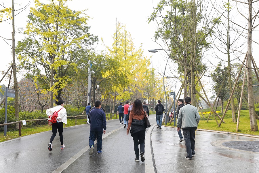 1605248893875139.jpg 0T0A2913縮小.jpg